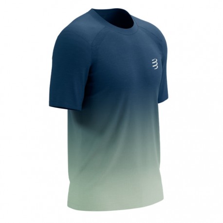 Camiseta compressport sale